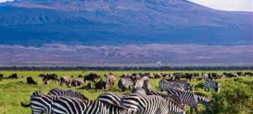 Amboseli National Park: Full-Day Tour from Nairobi