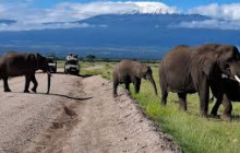 KT SAFARIS LIMITED19