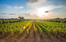Tours of Tuscany3