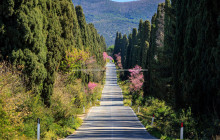 Tours of Tuscany4
