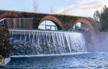 Your Friend in Reykjavik3