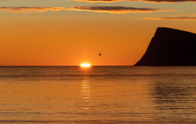 World Sea Explorers8