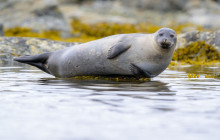 World Sea Explorers4