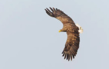 World Sea Explorers8