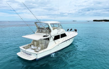 Born Free Charters1