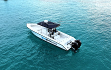 Born Free Charters1