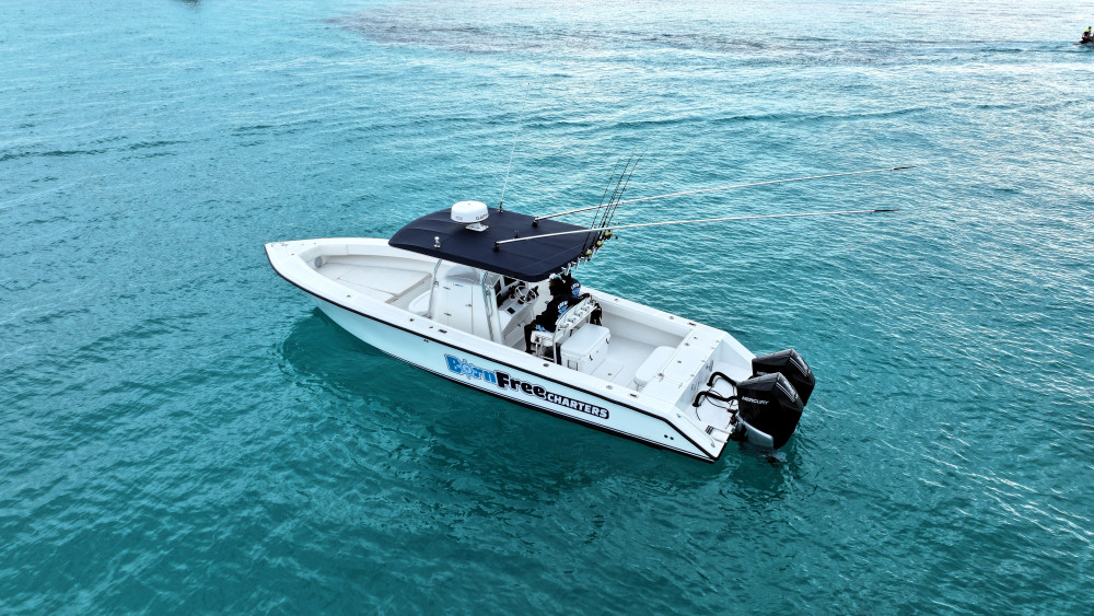 Half-Day Private Speed Boat for Snorkeling or Fishing in Nassau - 34ft