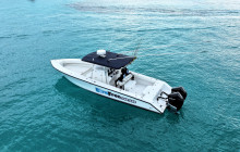 Born Free Charters1