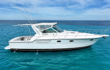 Born Free Charters3