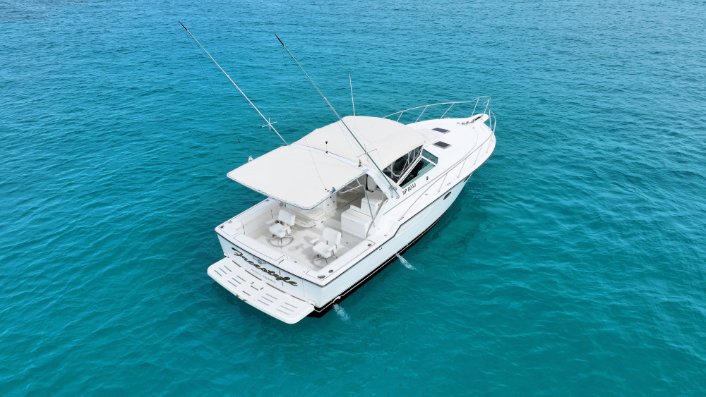 Full-Day Private Snorkeling or Fishing in Nassau - 38ft Freestyle