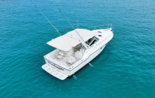 Born Free Charters1