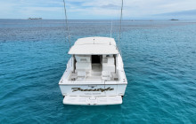 Born Free Charters3