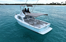 Born Free Charters1