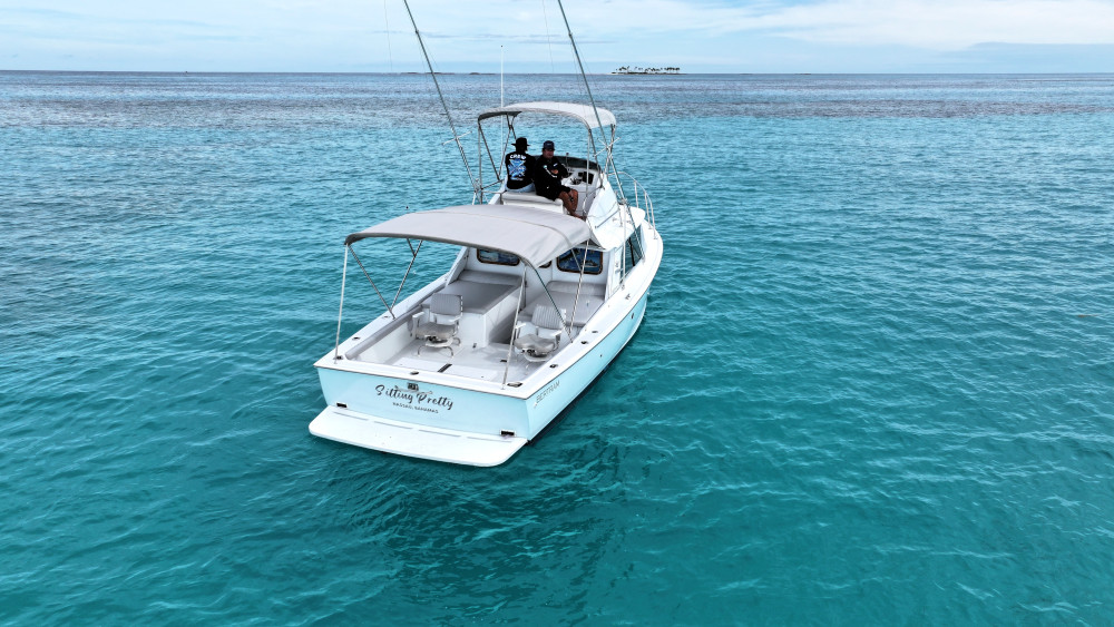 Born Free Charters