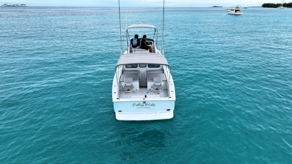 Born Free Charters