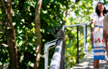 C2Rio Tours & Travel19