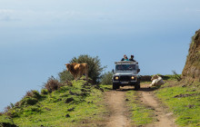 Madeira Mountain Expeditions1