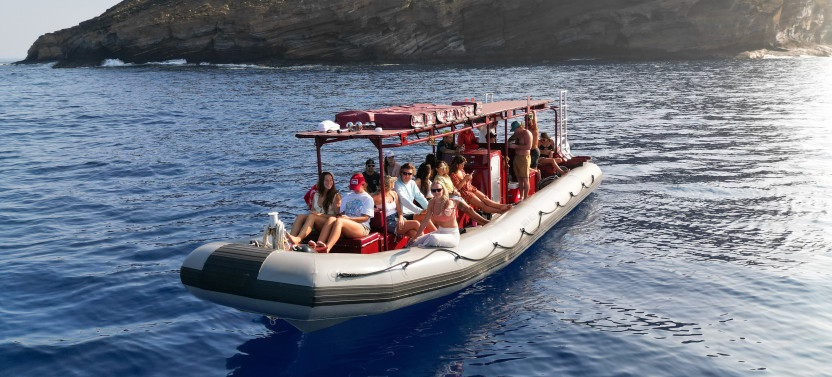 Small Group: Molokini Crater & Turtle Town Snorkeling 3 Hours