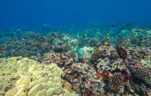 Makena Coast Charters5