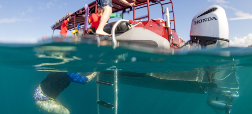 Small Group: Molokini Crater & Turtle Town Snorkeling 3 Hours