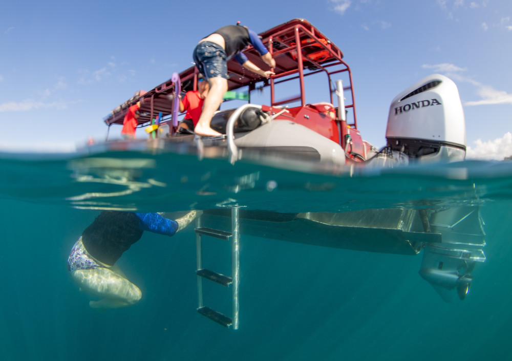 Small Group: Molokini Crater & Turtle Town Snorkeling 3 Hours