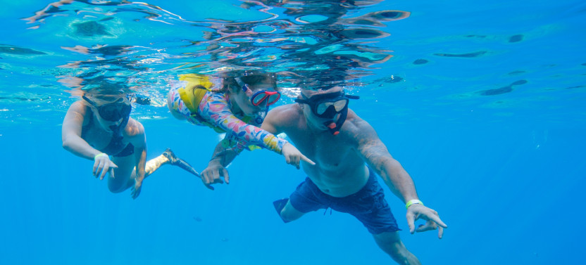 Small Group: Molokini Crater Snorkel Adventure 2 Hours
