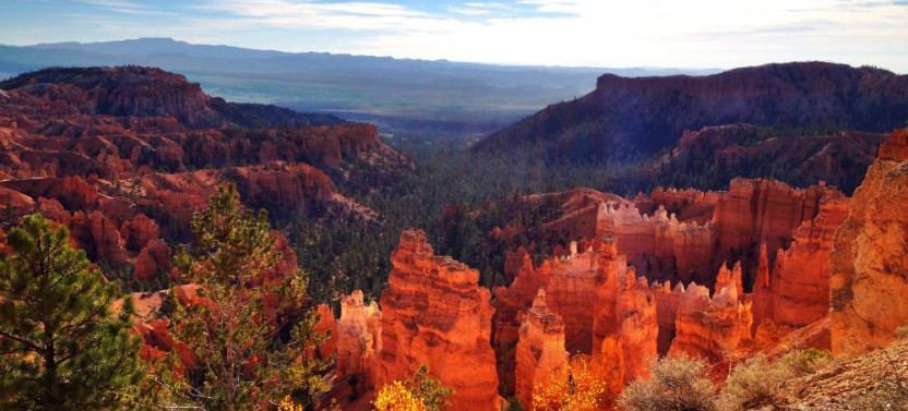3 Day Private Spiritual Aerial Adventure Safari