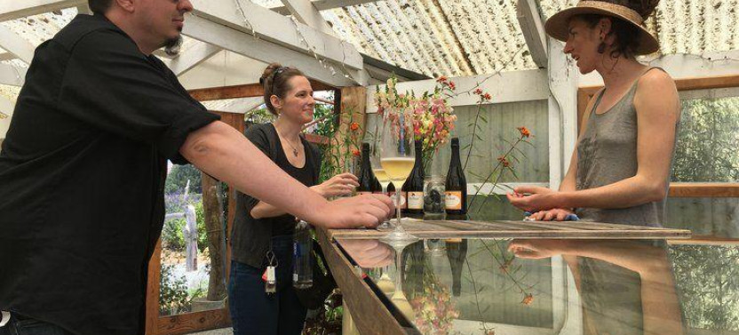 5 Day California Coastlines: Vineyards, Waves and Wine Small Group Tour