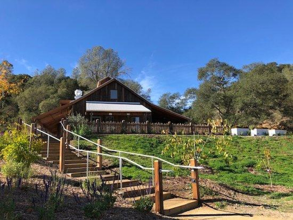 5 Day California Coastlines: Vineyards, Waves and Wine Small Group Tour