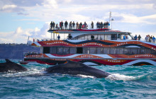 Fantasea Cruises3