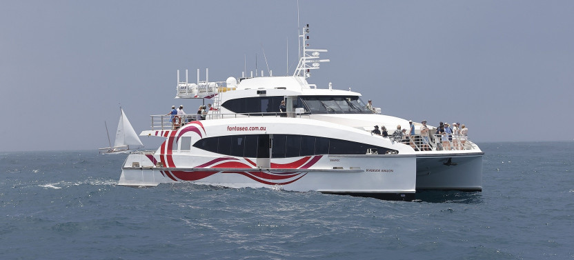 Express Whale Watching Cruise from Circular Quay with Guarantee