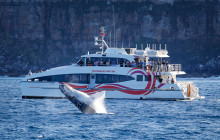 Fantasea Cruises1