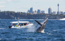 Fantasea Cruises4