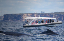 Fantasea Cruises5