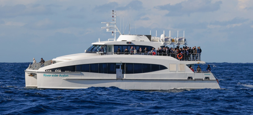 Boxing Day Sydney to Hobart Yacht Race Cruise on Fantasea Avalon