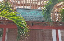 Gibraltar Tours and Taxi Service2