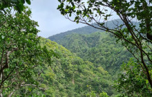 Gibraltar Tours and Taxi Service3