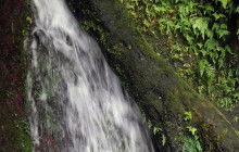 Gibraltar Tours and Taxi Service4