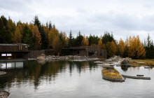 Your Friend in Reykjavik17