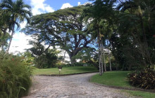 Gibraltar Tours and Taxi Service4