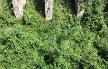 Gibraltar Tours and Taxi Service12