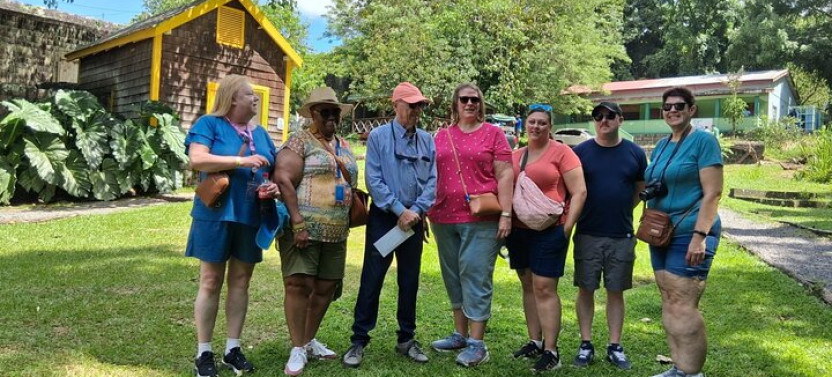 Private Basseterre Half Day Sightseeing Tour