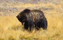 Teton Tour Guides8