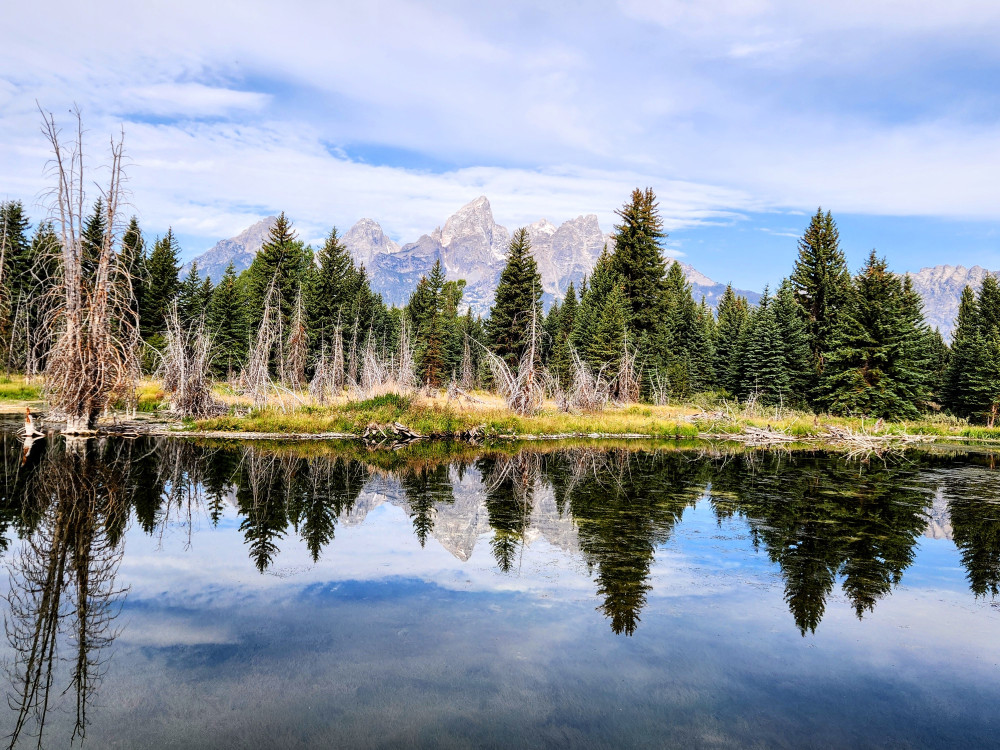Teton Tour Guides