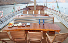 Musandam Sea Adventure Travel & Tourism9