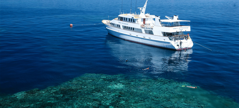 Spirit of Freedom 4 Night Liveaboard Trip