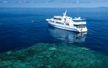 Great Sights Gray Line New Zealand1