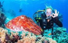 Great Sights Gray Line New Zealand2