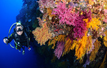 Great Sights Gray Line New Zealand3