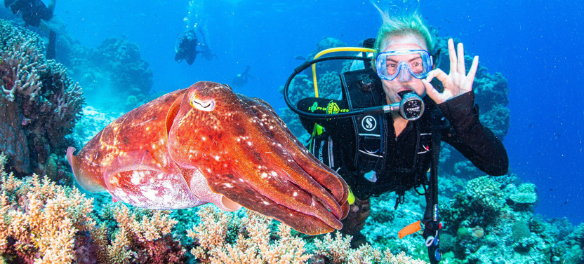 Spirit of Freedom 7 Night Liveaboard Trip